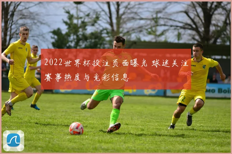 2022世界杯投注页面曝光 球迷关注赛事热度与竞彩信息