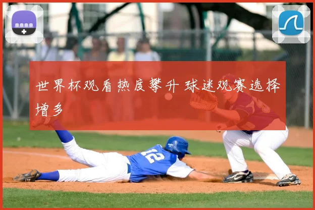 世界杯观看热度攀升 球迷观赛选择增多