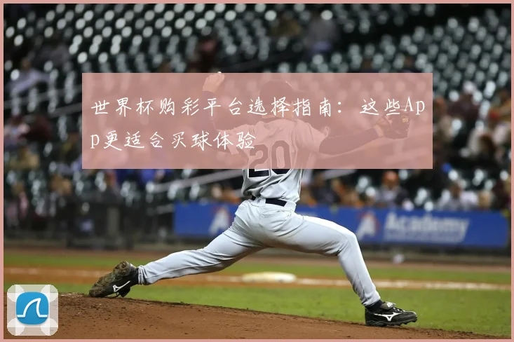 世界杯购彩平台选择指南：这些App更适合买球体验