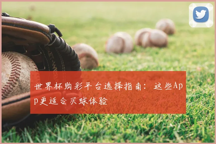 世界杯购彩平台选择指南：这些App更适合买球体验