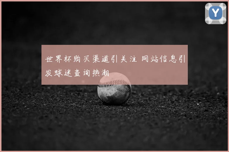 世界杯购买渠道引关注 网站信息引发球迷查询热潮